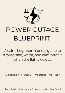 Power Outage Blueprint (PDF guide)