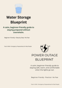 Essential Preparedness Blueprint Bundle (2 PDF guides)